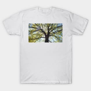 Spring Tree Branches T-Shirt